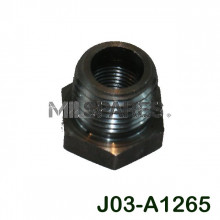Fuel filter pipe reducer